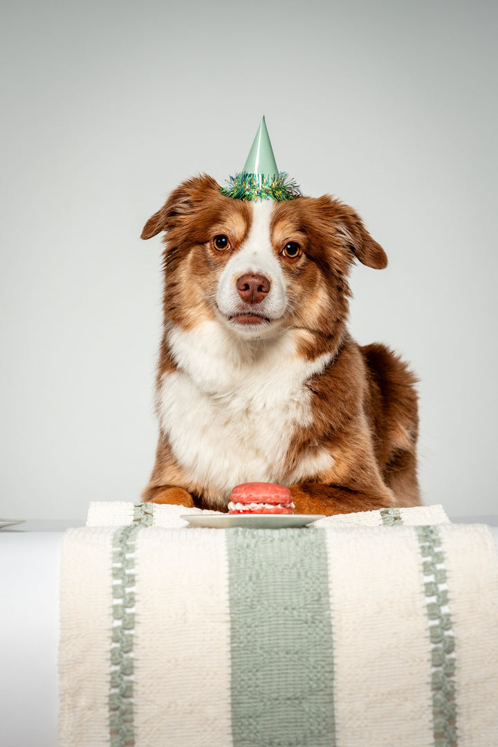 Celebration Cupcake - Beef