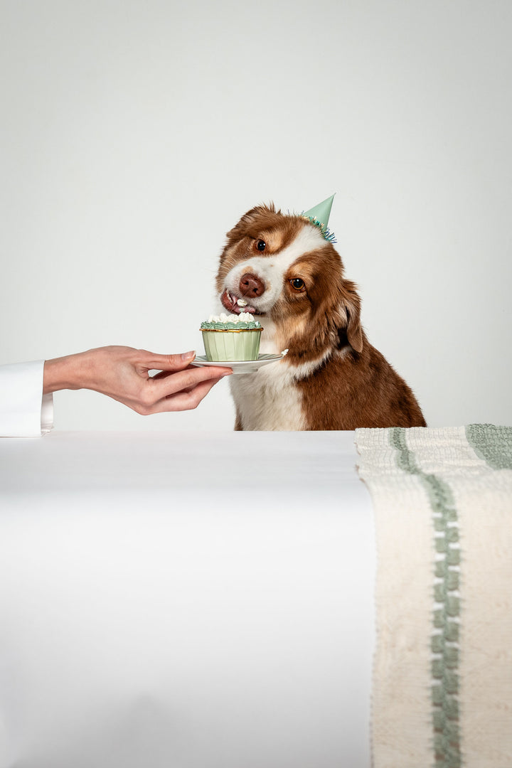 Celebration Cupcake - Organic Grass Fed Beef