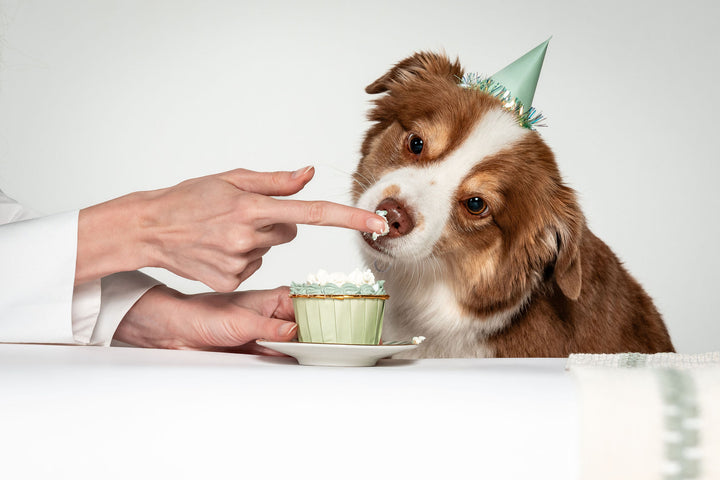 Celebration Cupcake - Beef
