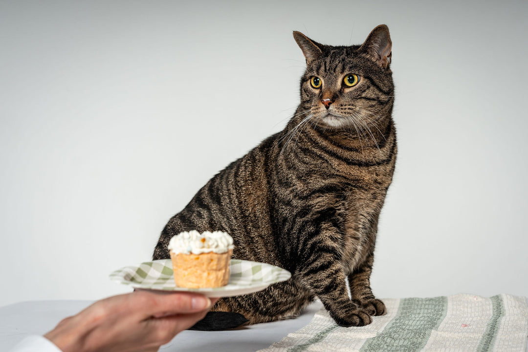 "À la Chocolate" Cupcake - Beef