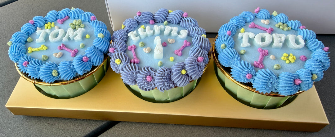 Celebration Cupcake - Free Roam Duck