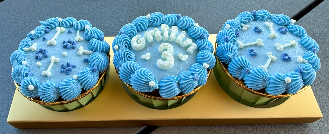 Celebration Cupcake - Free Roam Duck