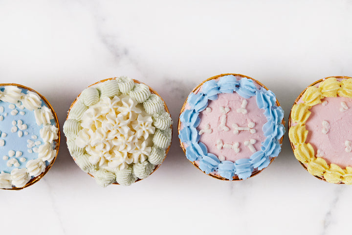 Celebration Cupcake - Atlantic Salmon