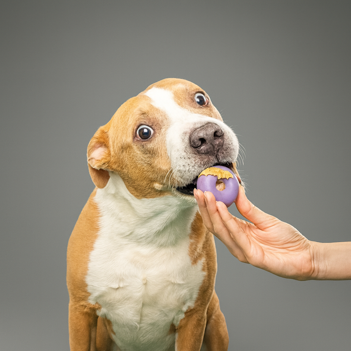 Savory Donuts - Organic Chicken