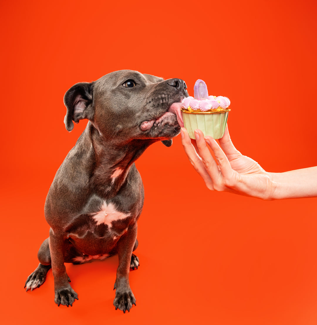 (Limited Edition!) Halloween Celebration Cupcake